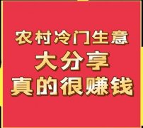 以下是一些适用且具有高利润率的创业项