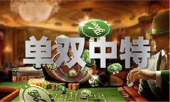 斯拉FSD更像人正在开车